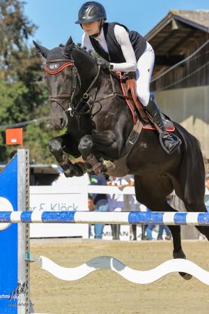 Jumpers by Tangelo v/d Zuuthoeve  x Calvaro Z