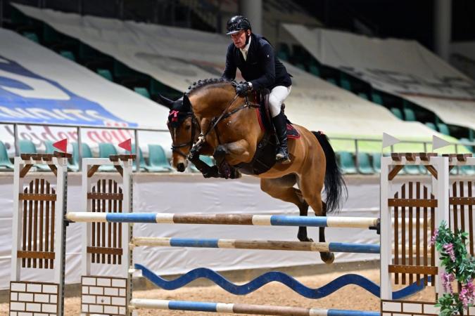 Springpferde von Arezzo x Copin van de Broy